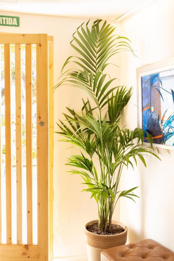 Sitges Beach Hostal Bagian luar foto
